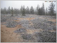 ASCF0639.jpg