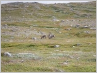 DSCF0086.JPG